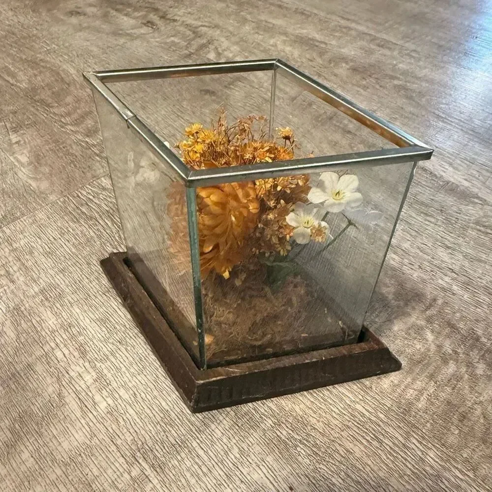 Leonard Creations Dried Flower Arrangement 6” Tall Glass Box Wood Terrarium